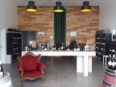 Vignobles Rambier Ainé Et Ses Enfants — Établissement vinicole à Saint-Clément-de-Rivière