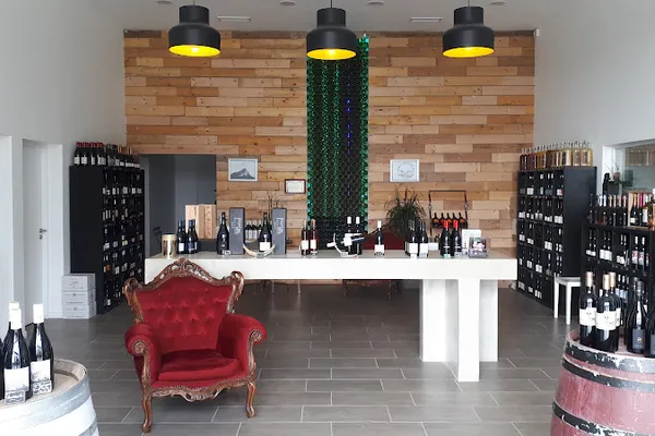 Vignobles Rambier Ainé Et Ses Enfants, Établissement vinicole à Saint-Clément-de-Rivière — Cabinet