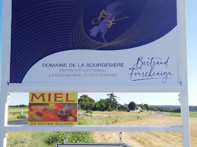 Vin de CHINON - Domaine de la Bourgésière — Établissement vinicole à Huismes