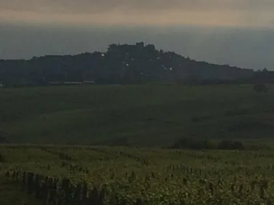 Vin De Sancerre-Château de Crézancy — Établissement vinicole à Crézancy-en-Sancerre