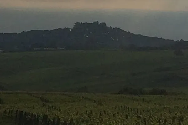 Vin De Sancerre-Château de Crézancy, Établissement vinicole à Crézancy-en-Sancerre — Cabinet