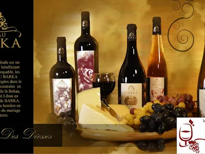 Vinex France — Magasin de vins et spiritueux à Colombes