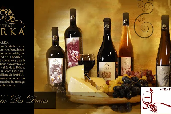 Vinex France, Magasin de vins et spiritueux à Colombes — Cabinet