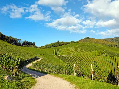 VINOTRIP — Agence de voyages à Paris