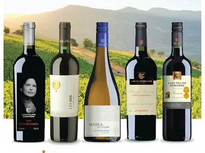 Vins chiliens Luis Felipe Edwards (Importateur français Saphy International) — Grossiste en vins à Maisons-Alfort