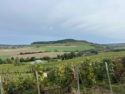 Wine Passport — Agence de voyages à Paris